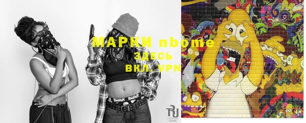стаф Алзамай