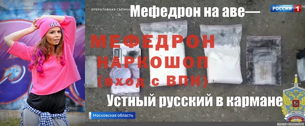 гашик Алексин