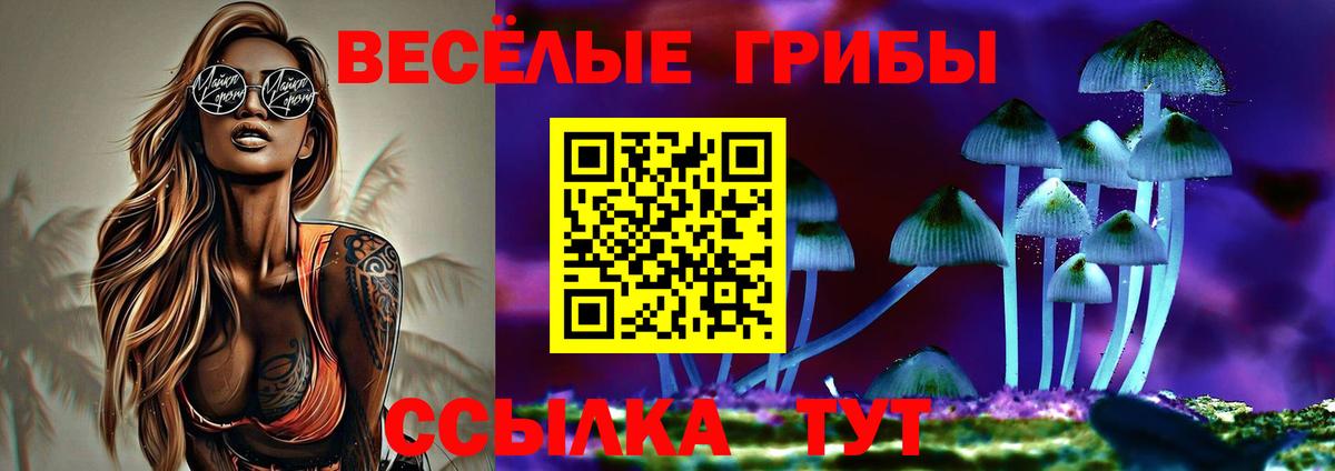 Псилоцибиновые грибы ЛСД Мытищи