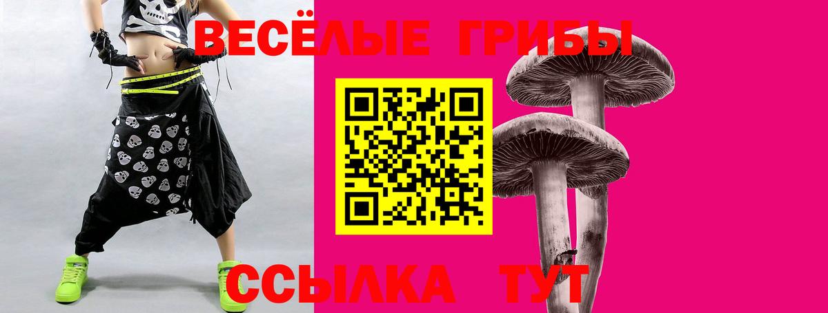 Мытищи  Псилоцибиновые грибы прущие грибы  цена   Вход с VPN 